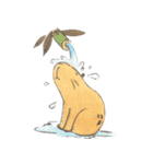 Capybara daily（個別スタンプ：17）