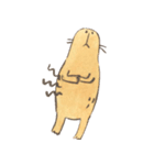 Capybara daily（個別スタンプ：18）