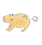 Capybara daily（個別スタンプ：19）