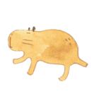 Capybara daily（個別スタンプ：26）