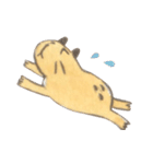 Capybara daily（個別スタンプ：27）