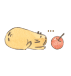 Capybara daily（個別スタンプ：29）