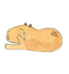 Capybara daily（個別スタンプ：30）