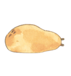 Capybara daily（個別スタンプ：34）