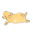 Capybara daily（個別スタンプ：35）