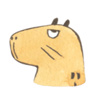 Capybara daily（個別スタンプ：37）
