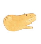 Capybara daily（個別スタンプ：38）