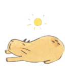 Capybara daily（個別スタンプ：39）