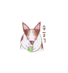 Tofu girl（個別スタンプ：27）
