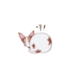 Tofu girl（個別スタンプ：37）