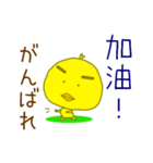 ぴよ太の台湾語＆中国語(繁体字)日本語付き（個別スタンプ：7）