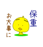 ぴよ太の台湾語＆中国語(繁体字)日本語付き（個別スタンプ：12）