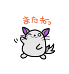 チンチラきゅぴとゆかいな仲間たち（個別スタンプ：7）