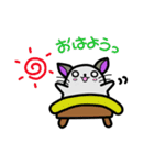 チンチラきゅぴとゆかいな仲間たち（個別スタンプ：13）