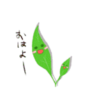 和み茶葉（個別スタンプ：21）