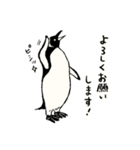 南北極地動物園~きほんのセット~（個別スタンプ：17）