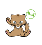茶白チャトラン(基本挨拶編)（個別スタンプ：1）