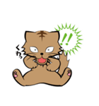 茶白チャトラン(基本挨拶編)（個別スタンプ：6）