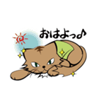 茶白チャトラン(基本挨拶編)（個別スタンプ：13）