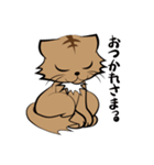 茶白チャトラン(基本挨拶編)（個別スタンプ：20）