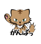 茶白チャトラン(基本挨拶編)（個別スタンプ：21）