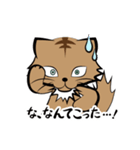 茶白チャトラン(基本挨拶編)（個別スタンプ：23）