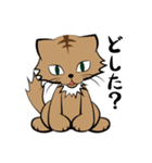 茶白チャトラン(基本挨拶編)（個別スタンプ：25）