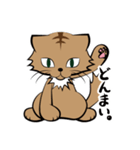 茶白チャトラン(基本挨拶編)（個別スタンプ：27）
