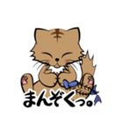 茶白チャトラン(基本挨拶編)（個別スタンプ：30）