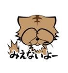 茶白チャトラン(基本挨拶編)（個別スタンプ：31）