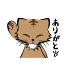 茶白チャトラン(基本挨拶編)（個別スタンプ：33）
