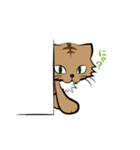茶白チャトラン(基本挨拶編)（個別スタンプ：37）