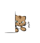 茶白チャトラン(基本挨拶編)（個別スタンプ：39）