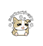 みみくる_No.002(こいぬ)ほぼ敬語（個別スタンプ：8）
