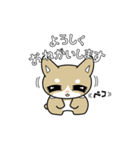 みみくる_No.002(こいぬ)ほぼ敬語（個別スタンプ：12）