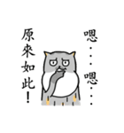 Come and play with squirrel cats（個別スタンプ：3）