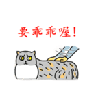 Come and play with squirrel cats（個別スタンプ：4）