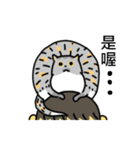 Come and play with squirrel cats（個別スタンプ：8）