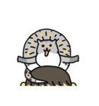 Come and play with squirrel cats（個別スタンプ：11）