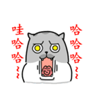 Come and play with squirrel cats（個別スタンプ：13）