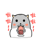 Come and play with squirrel cats（個別スタンプ：14）