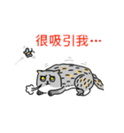 Come and play with squirrel cats（個別スタンプ：15）
