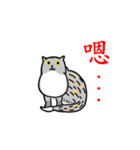 Come and play with squirrel cats（個別スタンプ：17）