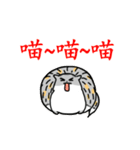 Come and play with squirrel cats（個別スタンプ：18）