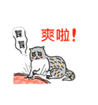 Come and play with squirrel cats（個別スタンプ：21）