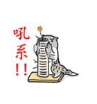 Come and play with squirrel cats（個別スタンプ：22）