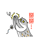 Come and play with squirrel cats（個別スタンプ：24）
