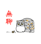 Come and play with squirrel cats（個別スタンプ：26）