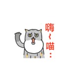 Come and play with squirrel cats（個別スタンプ：27）