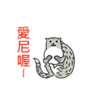 Come and play with squirrel cats（個別スタンプ：28）